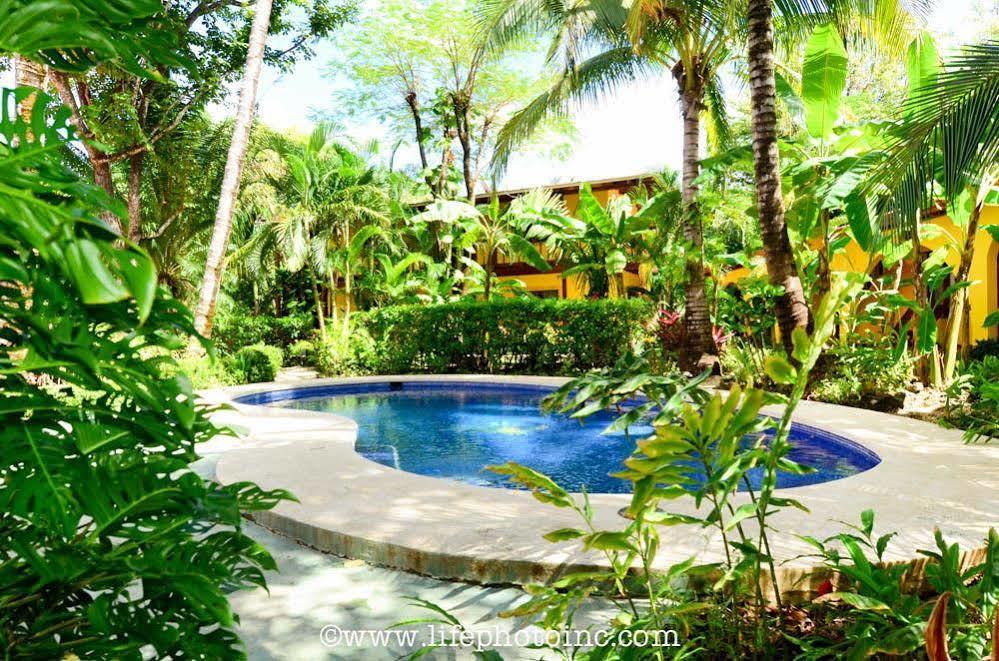 The Sunset Shack Hotel Nosara Bagian luar foto