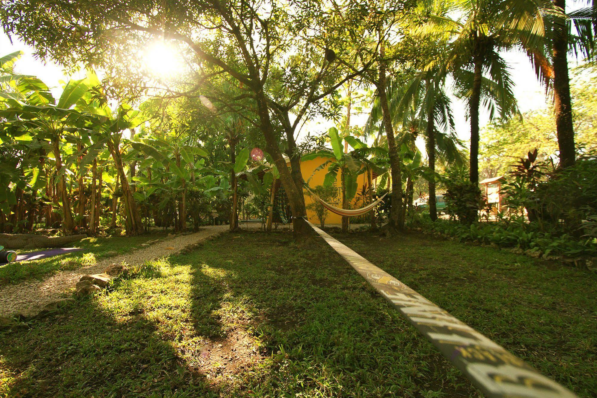 The Sunset Shack Hotel Nosara Bagian luar foto