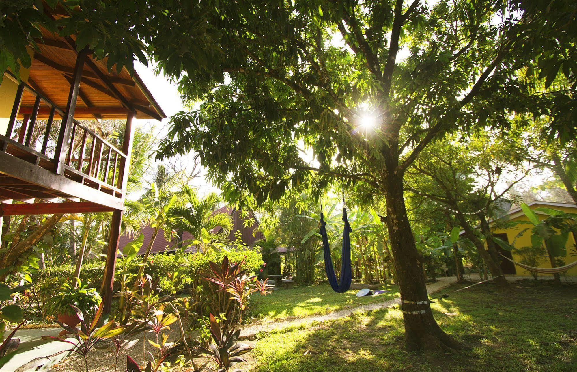 The Sunset Shack Hotel Nosara Bagian luar foto